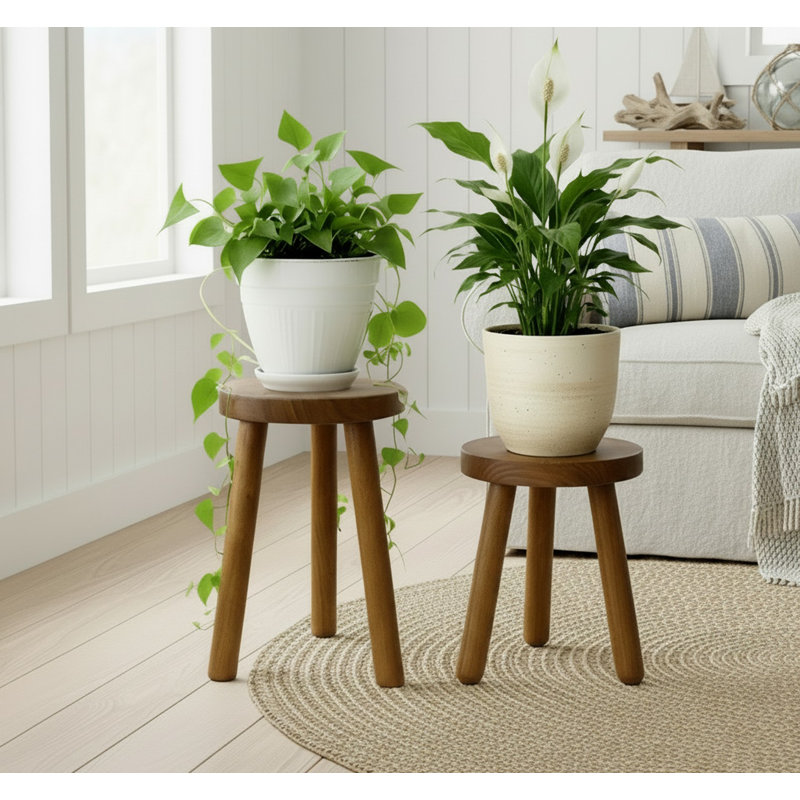 George Oliver Teak Wood Plant Stand Set Of 2 & Reviews | Wayfair